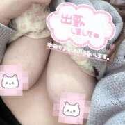 ヒメ日記 2025/04/01 14:59 投稿 まろん 蒼いうさぎ