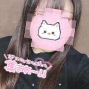 ヒメ日記 2025/04/16 21:45 投稿 まろん 蒼いうさぎ