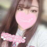 ヒメ日記 2025/04/19 17:18 投稿 まろん 蒼いうさぎ