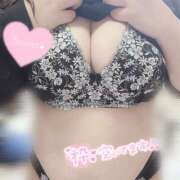 ヒメ日記 2025/05/02 16:59 投稿 まろん 蒼いうさぎ