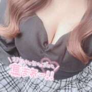 ヒメ日記 2025/06/21 11:24 投稿 まろん 蒼いうさぎ