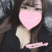 ヒメ日記 2025/06/22 11:13 投稿 まろん 蒼いうさぎ