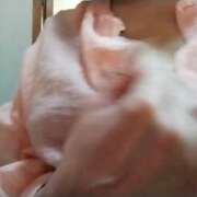 ヒメ日記 2025/06/19 00:24 投稿 こころ 人妻美人館