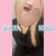 ヒメ日記 2025/02/24 15:03 投稿 のどか 丸妻 新横浜店