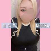 ヒメ日記 2025/04/07 20:07 投稿 のどか 丸妻 新横浜店