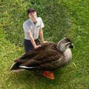 ヒメ日記 2026/02/15 05:05 投稿 のどか 丸妻 新横浜店