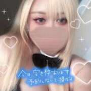 ヒメ日記 2026/02/19 20:33 投稿 のどか 丸妻 新横浜店