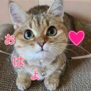 ヒメ日記 2025/01/18 16:06 投稿 あゆさん いけない奥さん 十三店