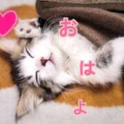 ヒメ日記 2025/01/21 17:11 投稿 あゆさん いけない奥さん 十三店