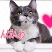 ヒメ日記 2025/01/29 18:18 投稿 あゆさん いけない奥さん 十三店