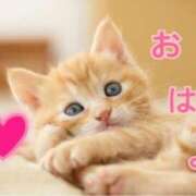 ヒメ日記 2025/04/04 13:58 投稿 あゆさん いけない奥さん 十三店