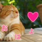 ヒメ日記 2025/04/30 16:25 投稿 あゆさん いけない奥さん 十三店