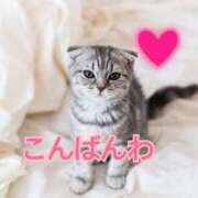 ヒメ日記 2025/06/11 20:22 投稿 あゆさん いけない奥さん 十三店