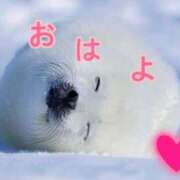 ヒメ日記 2025/06/14 16:48 投稿 あゆさん いけない奥さん 十三店