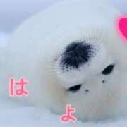 あゆさん 15時から❣️ いけない奥さん 十三店