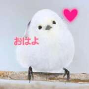 ヒメ日記 2025/02/13 19:18 投稿 あゆさん いけない奥さん 梅田店