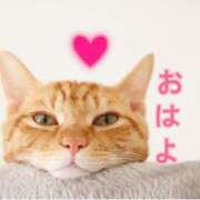 ヒメ日記 2025/03/14 17:28 投稿 あゆさん いけない奥さん 梅田店