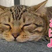 ヒメ日記 2025/04/09 15:28 投稿 あゆさん いけない奥さん 梅田店