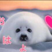 ヒメ日記 2025/04/17 13:58 投稿 あゆさん いけない奥さん 梅田店