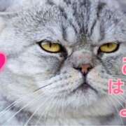 ヒメ日記 2025/08/01 13:08 投稿 あゆさん いけない奥さん 梅田店