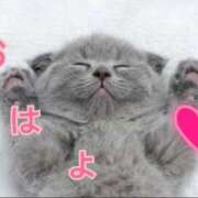 ヒメ日記 2025/08/21 15:58 投稿 あゆさん いけない奥さん 梅田店