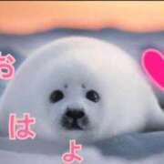 ヒメ日記 2025/11/03 11:58 投稿 あゆさん いけない奥さん 梅田店