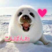 ヒメ日記 2025/11/21 18:11 投稿 あゆさん いけない奥さん 梅田店