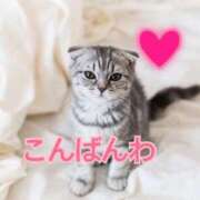 ヒメ日記 2026/01/25 18:50 投稿 あゆさん いけない奥さん 梅田店