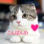 あゆさん 出勤しました❤️ いけない奥さん 梅田店