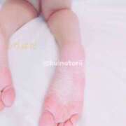 ヒメ日記 2025/04/22 13:25 投稿 クイナ とりはだ