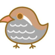 ヒメ日記 2025/05/09 13:04 投稿 クイナ とりはだ