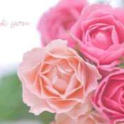 ヒメ日記 2025/07/18 01:14 投稿 南野玲 五十路マダムエクスプレス船橋店(カサブランカグループ)