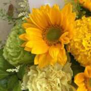 ヒメ日記 2025/07/22 02:28 投稿 南野玲 五十路マダムエクスプレス船橋店(カサブランカグループ)