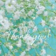 ヒメ日記 2025/08/01 05:16 投稿 南野玲 五十路マダムエクスプレス船橋店(カサブランカグループ)