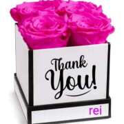 ヒメ日記 2025/09/12 01:12 投稿 南野玲 五十路マダムエクスプレス船橋店(カサブランカグループ)