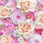 ヒメ日記 2025/11/05 04:56 投稿 南野玲 五十路マダムエクスプレス船橋店(カサブランカグループ)