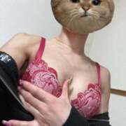 ヒメ日記 2025/03/20 19:03 投稿 あや プリンセスセレクション姫路