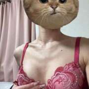 ヒメ日記 2025/04/15 17:58 投稿 あや プリンセスセレクション姫路