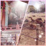 ヒメ日記 2025/01/05 16:35 投稿 しのぶ 熟女総本店