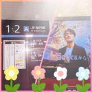 ヒメ日記 2025/01/09 11:36 投稿 しのぶ 熟女総本店