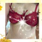 ヒメ日記 2025/10/26 14:25 投稿 しのぶ 熟女総本店