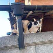 ヒメ日記 2025/02/19 13:30 投稿 みのり☆☆★★★ デリヘル パイ