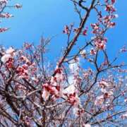 ヒメ日記 2025/03/10 12:36 投稿 みのり☆☆★★★ デリヘル パイ