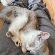 ヒメ日記 2025/09/25 16:22 投稿 琴葉/ことは ANEJE～アネージュ池袋～(ユメオト)