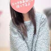 ヒメ日記 2024/12/19 09:10 投稿 りほ エディーズ