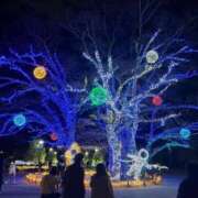 ヒメ日記 2024/12/23 19:20 投稿 りほ エディーズ