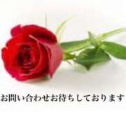 ヒメ日記 2024/12/24 20:40 投稿 りほ エディーズ