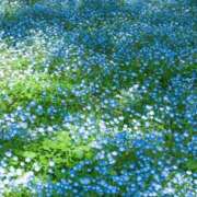 ヒメ日記 2026/04/14 19:25 投稿 はずき 完熟ばなな 横浜