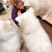 ヒメ日記 2025/11/22 14:42 投稿 璃音 the SPA KADOEBI