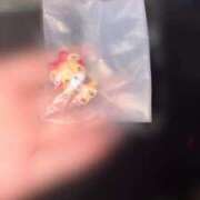 ヒメ日記 2025/04/25 12:05 投稿 あみな 無我（むが）